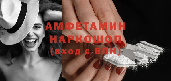 дмт Ельня