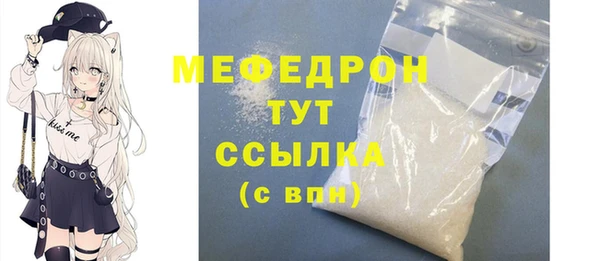 дмт Ельня