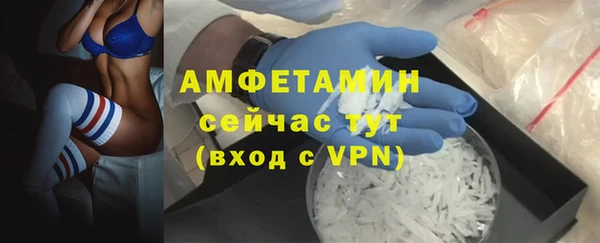 трава Елабуга