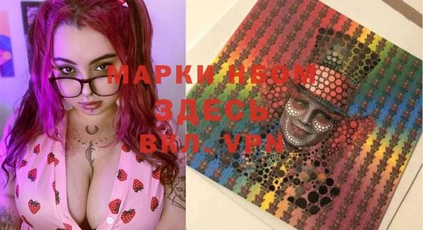 дмт Ельня