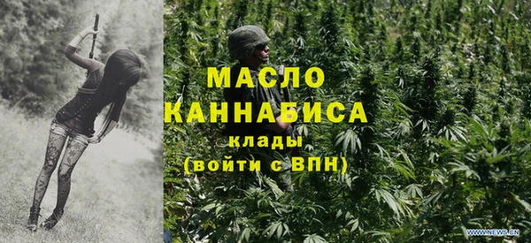дмт Ельня
