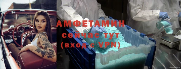 дмт Ельня