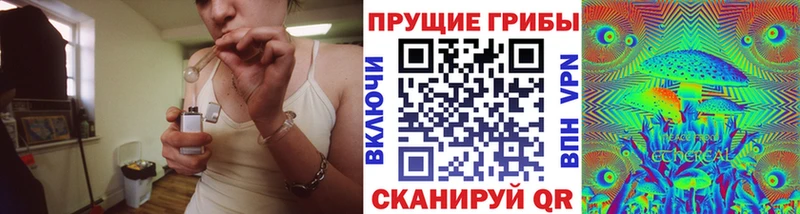 Купить  Златоуст  Галлюциногенные грибы Psilocybine cubensis 